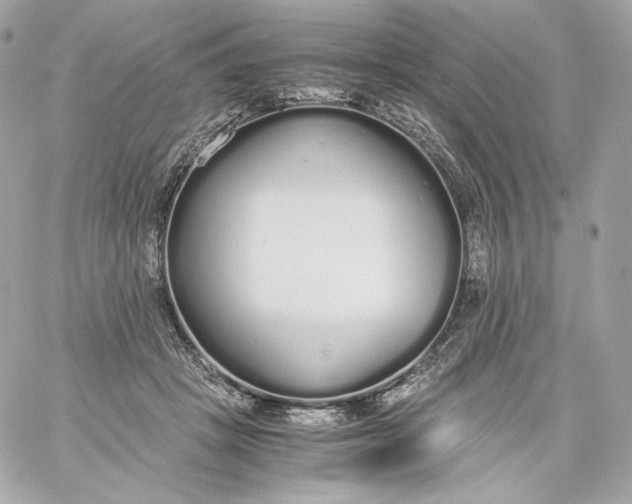 X0000060260457200511112025