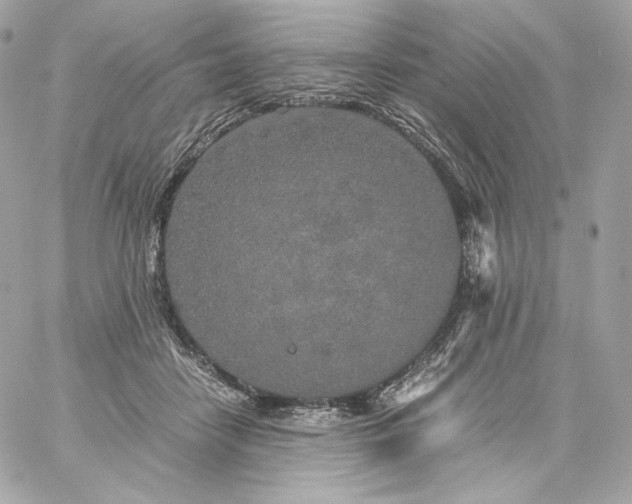 X0000060260458200511112025