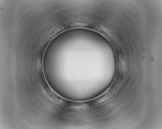 X0000060260459200511112025