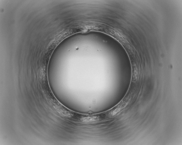 X0000060260461200511112025