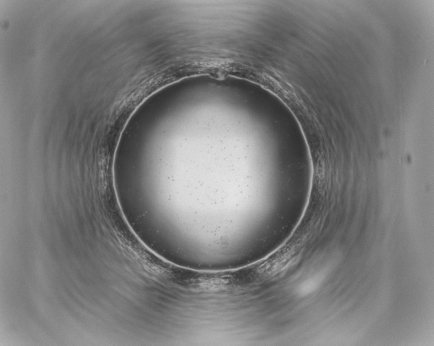 X0000060260462200511112025