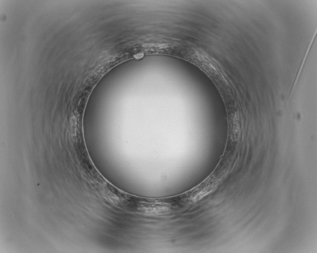 X0000060260463200511112025