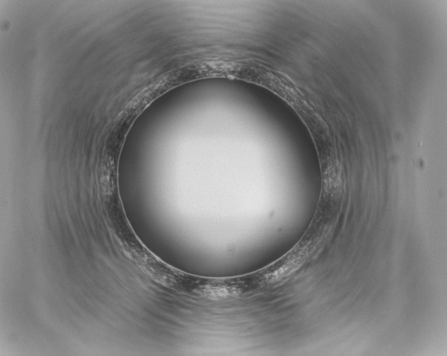 X0000060260464200511112025