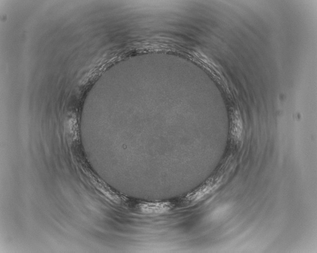 X0000060260465200511112025