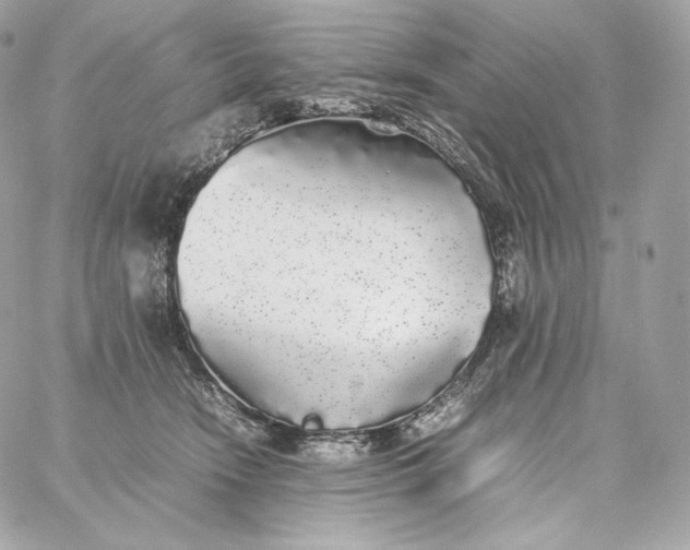 X0000060260466200511112026