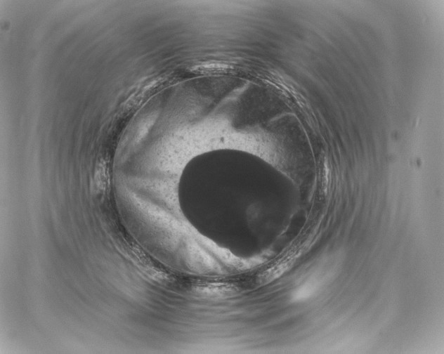 X0000060260467200511112026