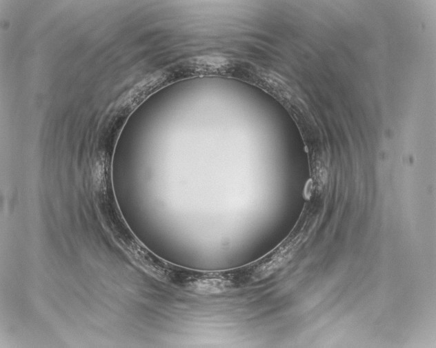 X0000060260468200511112026