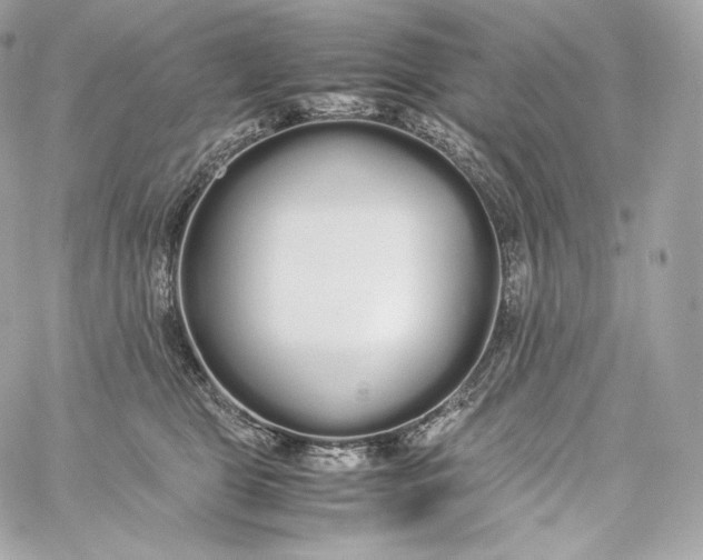 X0000060260469200511112026