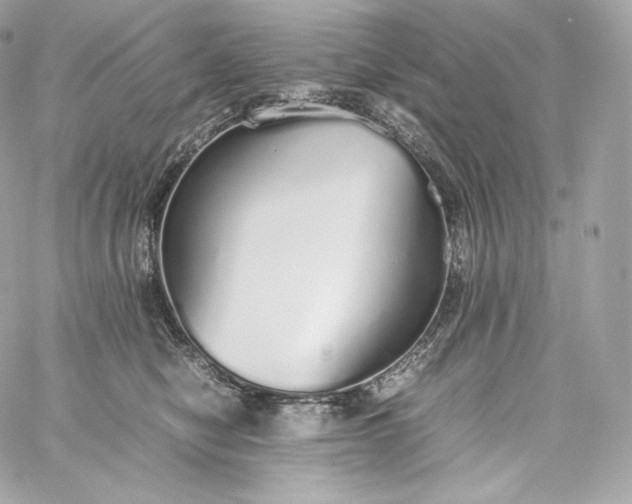 X0000060260470200511112026