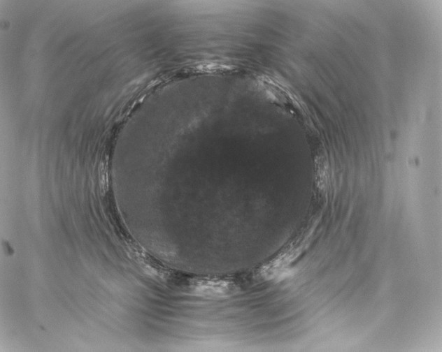 X0000060260471200511112026