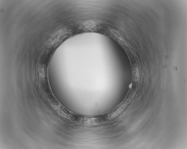 X0000060260472200511112026