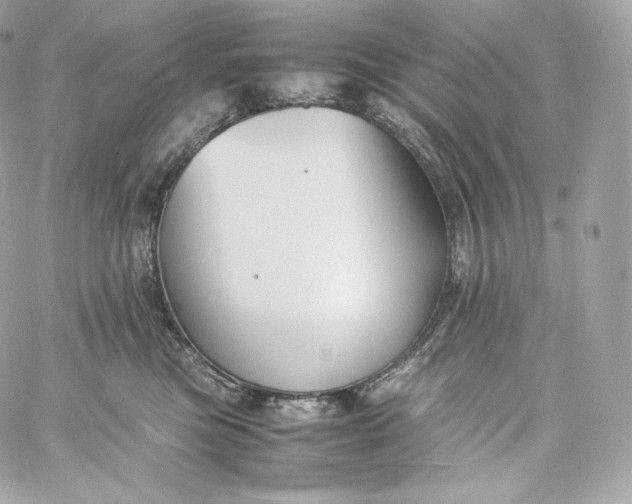 X0000060260473200511112026