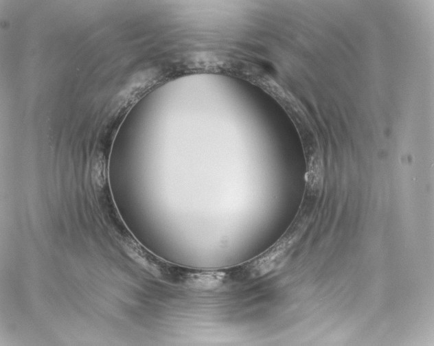 X0000060260474200511112026