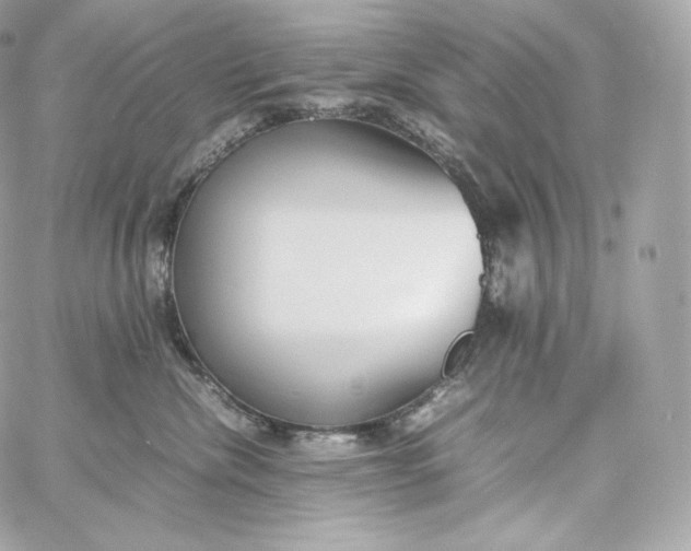 X0000060260476200511112026