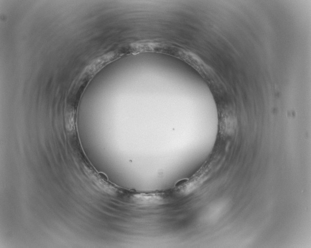 X0000060260477200511112026