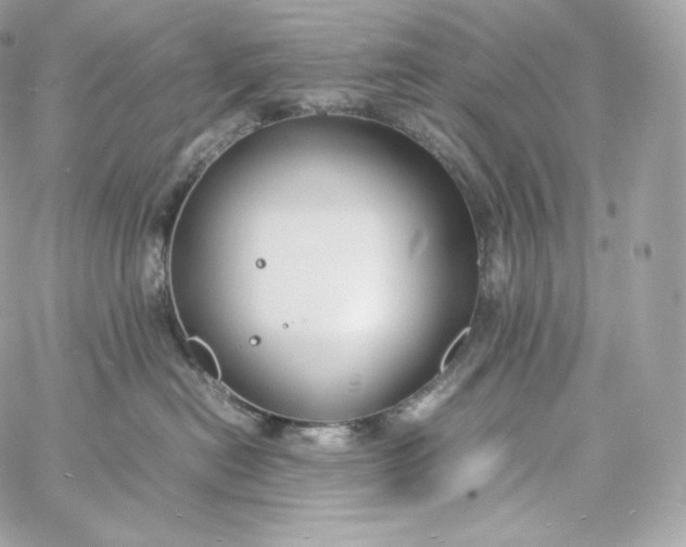 X0000060260478200511112026