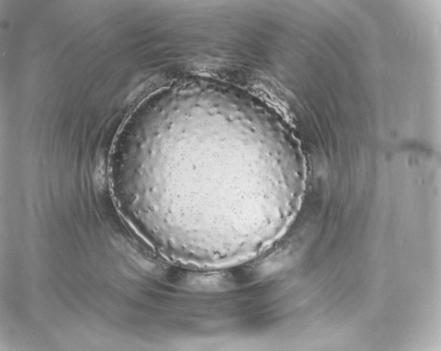 X0000060260479200511112026