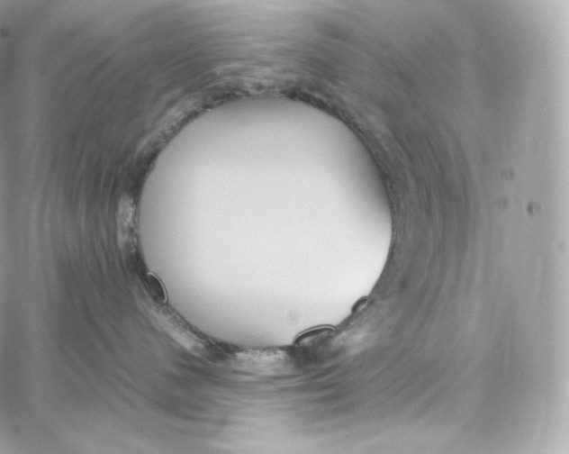 X0000060260480200511112026