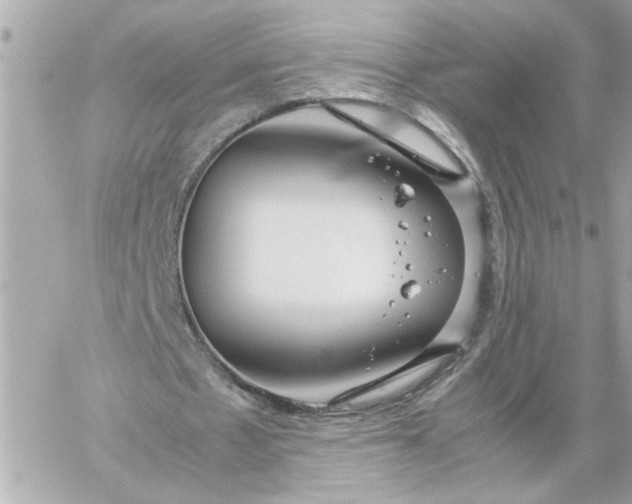 X0000060260481200511112025