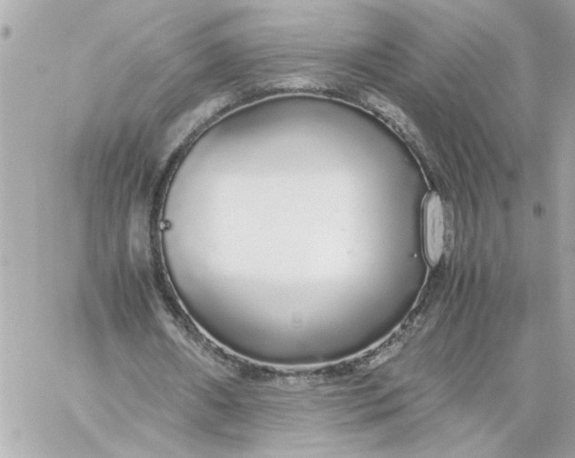 X0000060260482200511112025