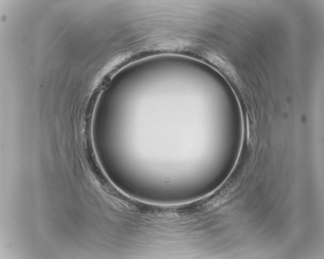 X0000060260483200511112025