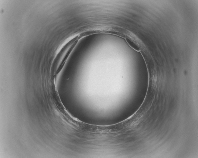 X0000060260484200511112025