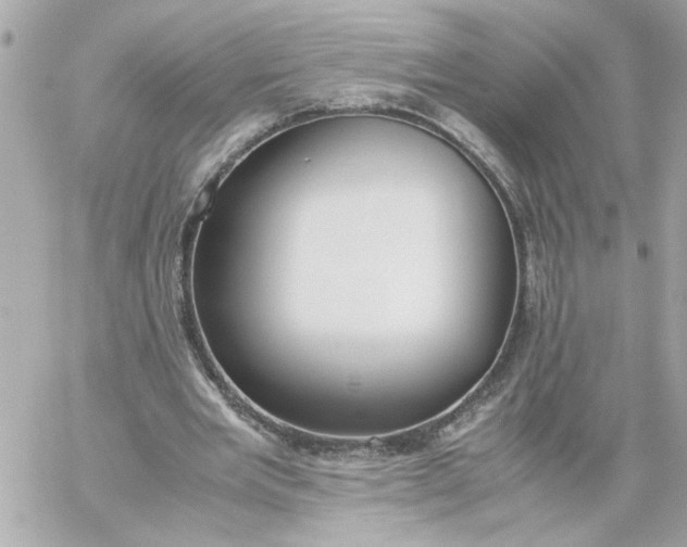 X0000060260485200511112025