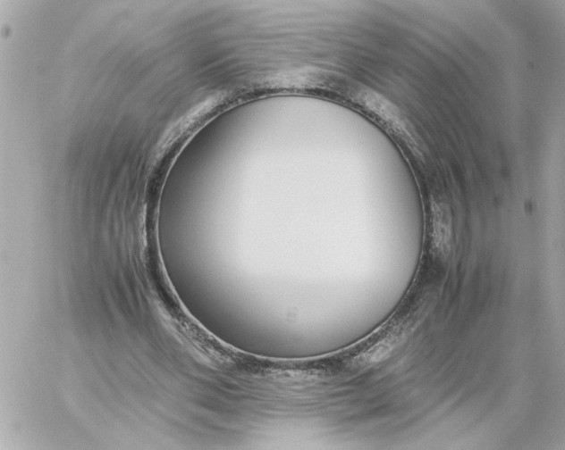 X0000060260486200511112025