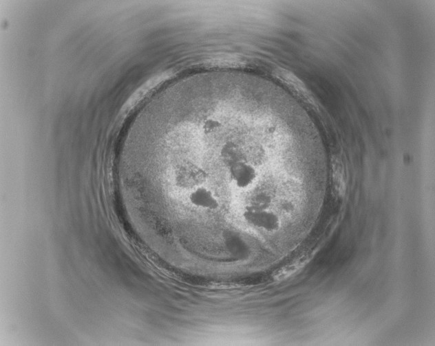 X0000060260487200511112025