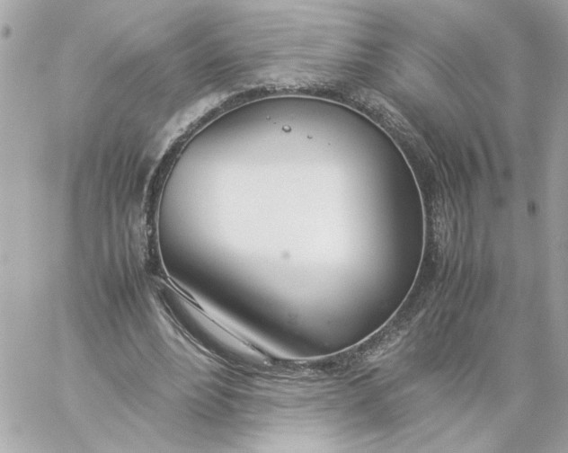 X0000060260488200511112025