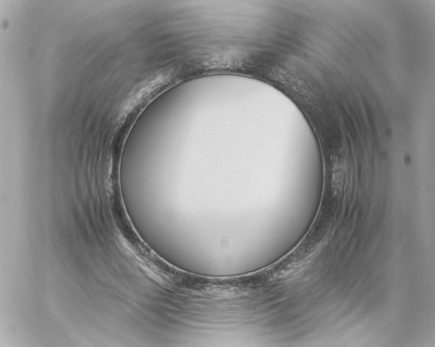 X0000060260490200511112025