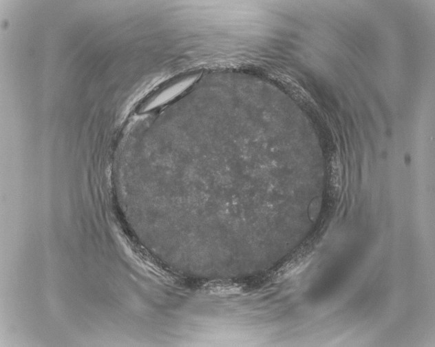 X0000060260491200511112025