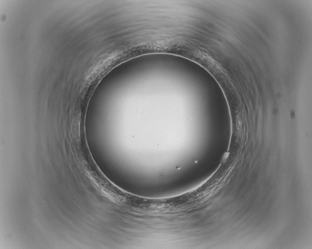 X0000060260493200511112025