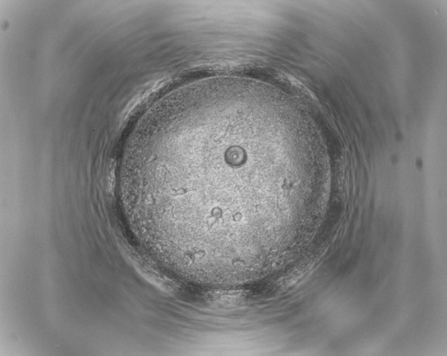 X0000060260495200511112025