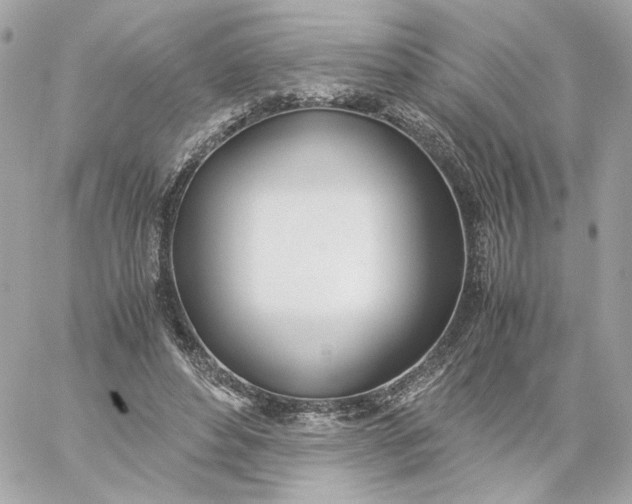 X0000060260496200511112025