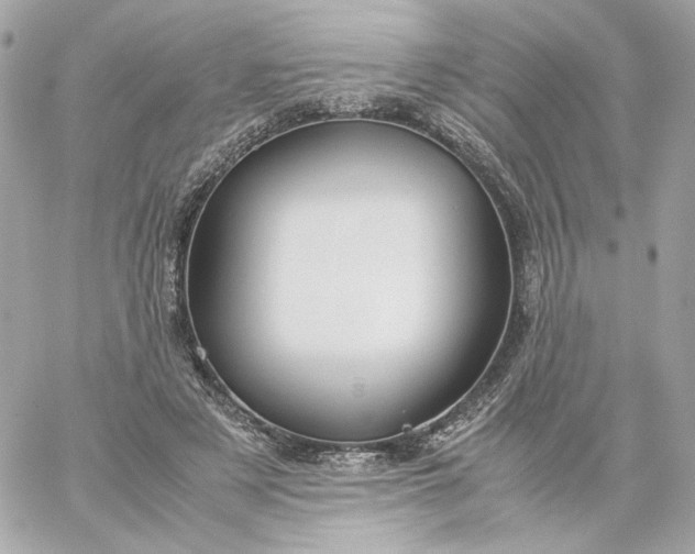 X0000060260497200511112025