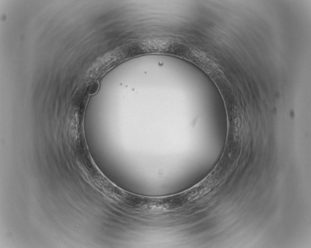 X0000060260498200511112025