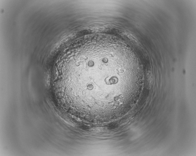 X0000060260499200511112025