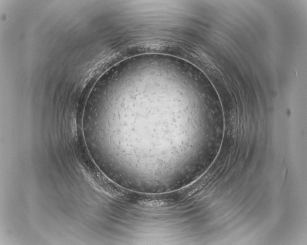 X0000060260500200511112025