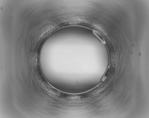 X0000060260501200511112025