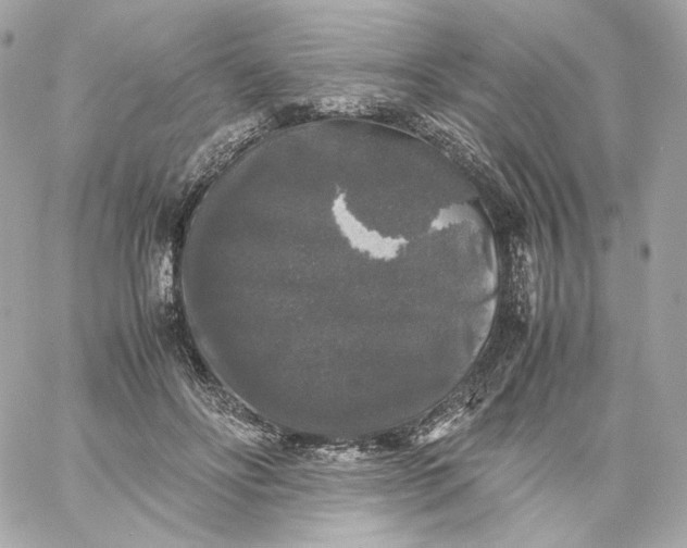 X0000060260502200511112025