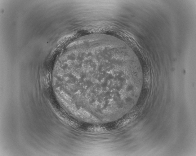 X0000060260503200511112025