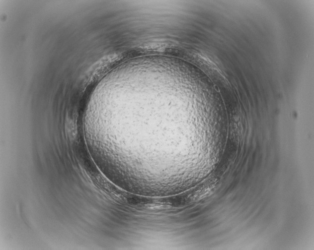 X0000060260504200511112025