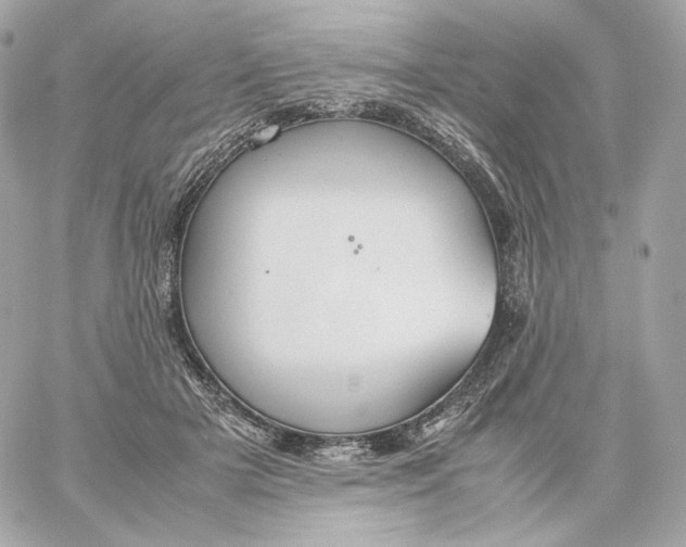 X0000060260505200511112025