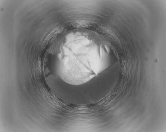 X0000060260506200511112025