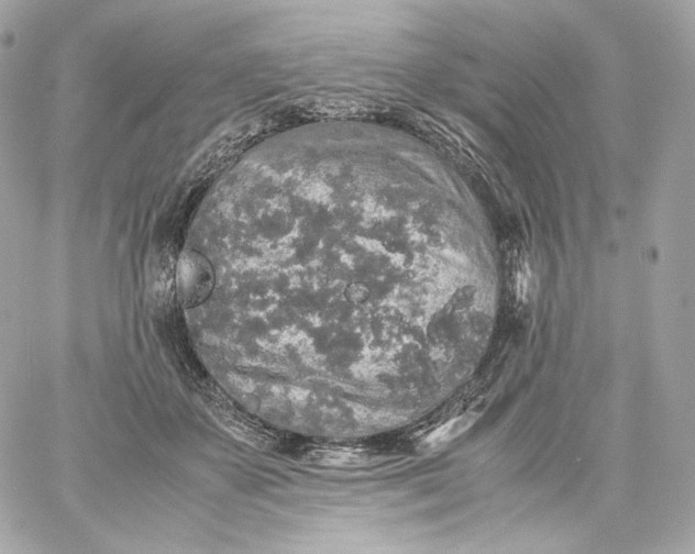 X0000060260507200511112025