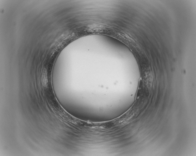 X0000060260508200511112024