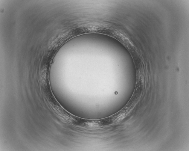 X0000060260509200511112024