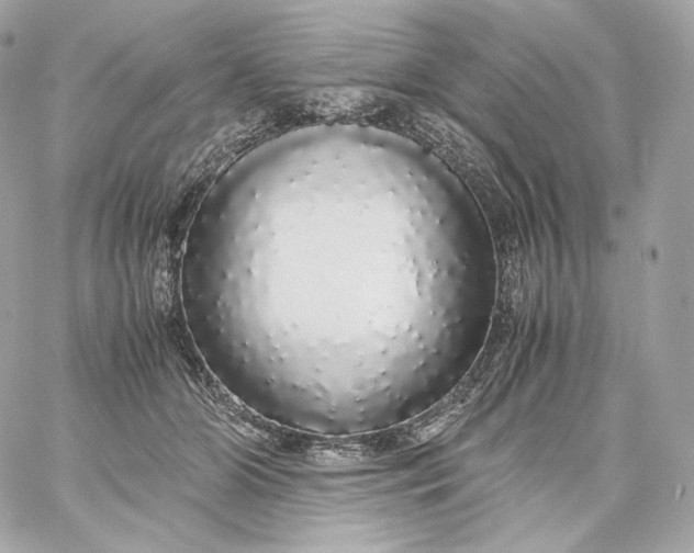 X0000060260510200511112024