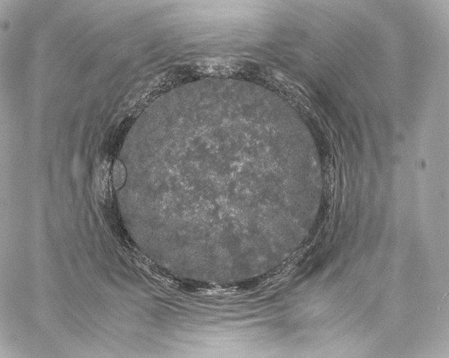 X0000060260511200511112024